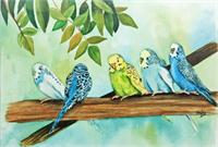 Feathered Friends