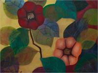 Camellias