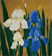 Irises